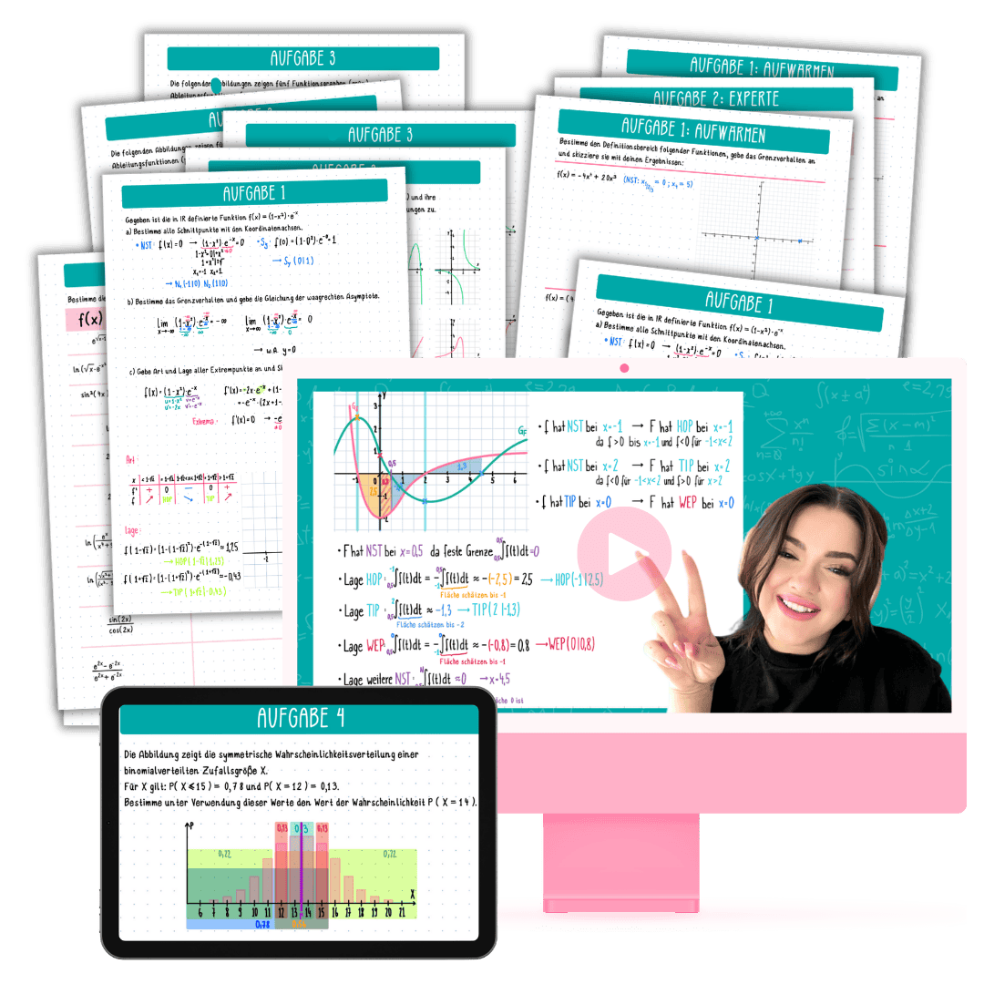 Intensivkurs Mathe Abi Last Minute System